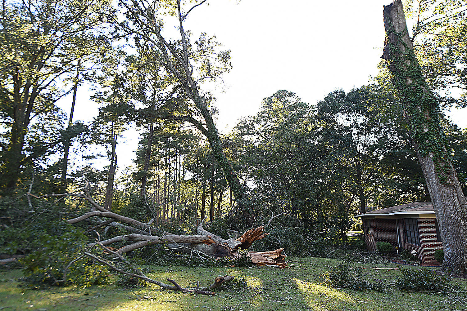 Hurricane Michael aftermath